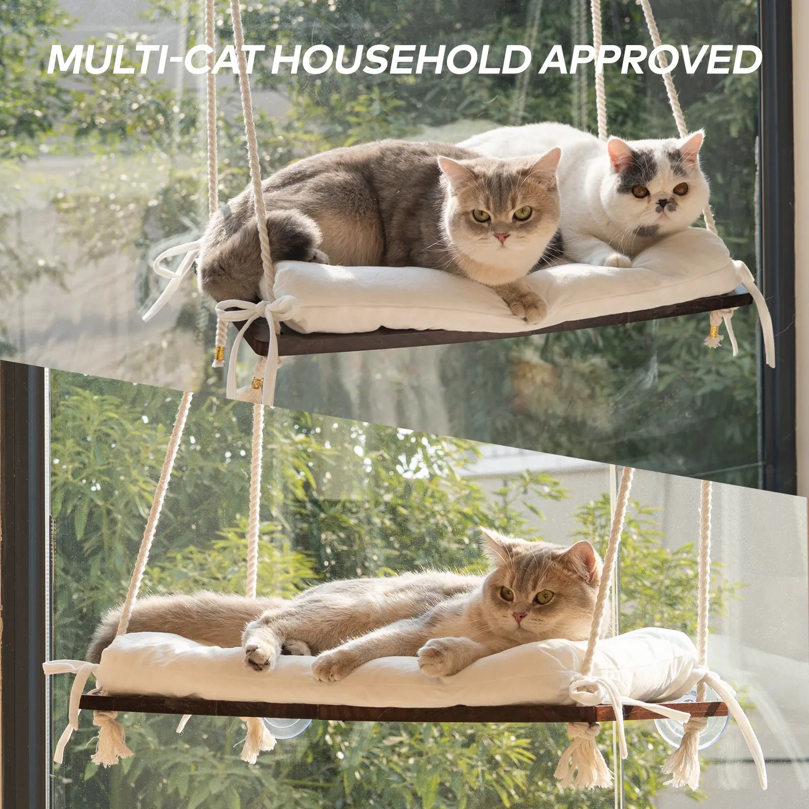 Solid Wood Cat Window Perch with Machine Washable Cushion and Strong Suction Cups for Cats and Small Dogs