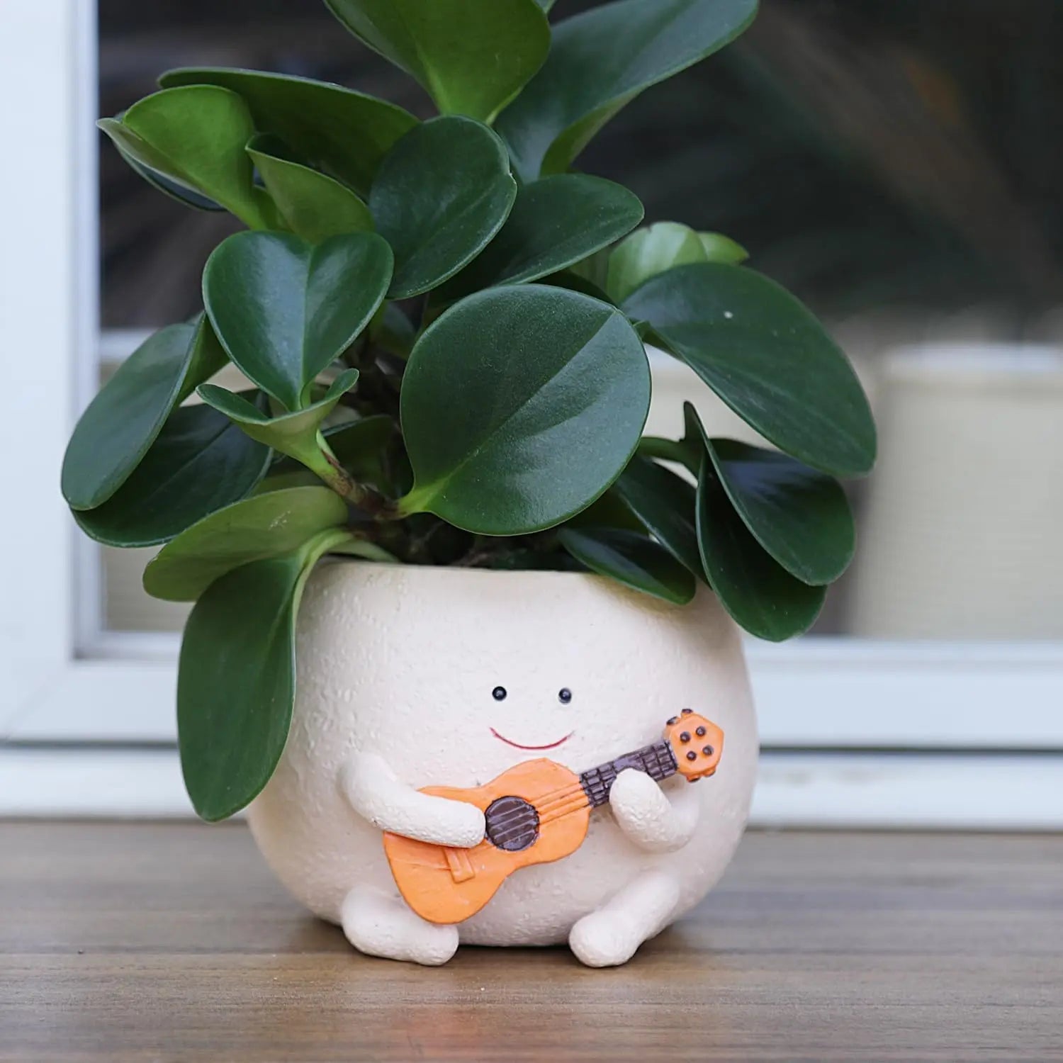 Face Planter Pots Funny Toilet Plant Pot for Indoor Plants, Cute Face Head Flower Pots Quirky Succulent Planters Gift Ideal for Home, Office, Christmas
